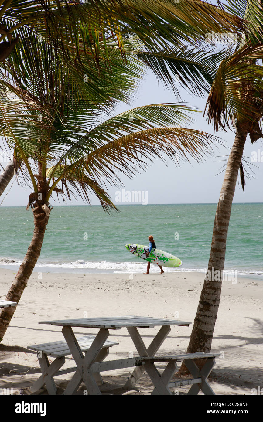 windsurfing El Yaque Beach Margarita Island Venezuela Stock Photo Alamy