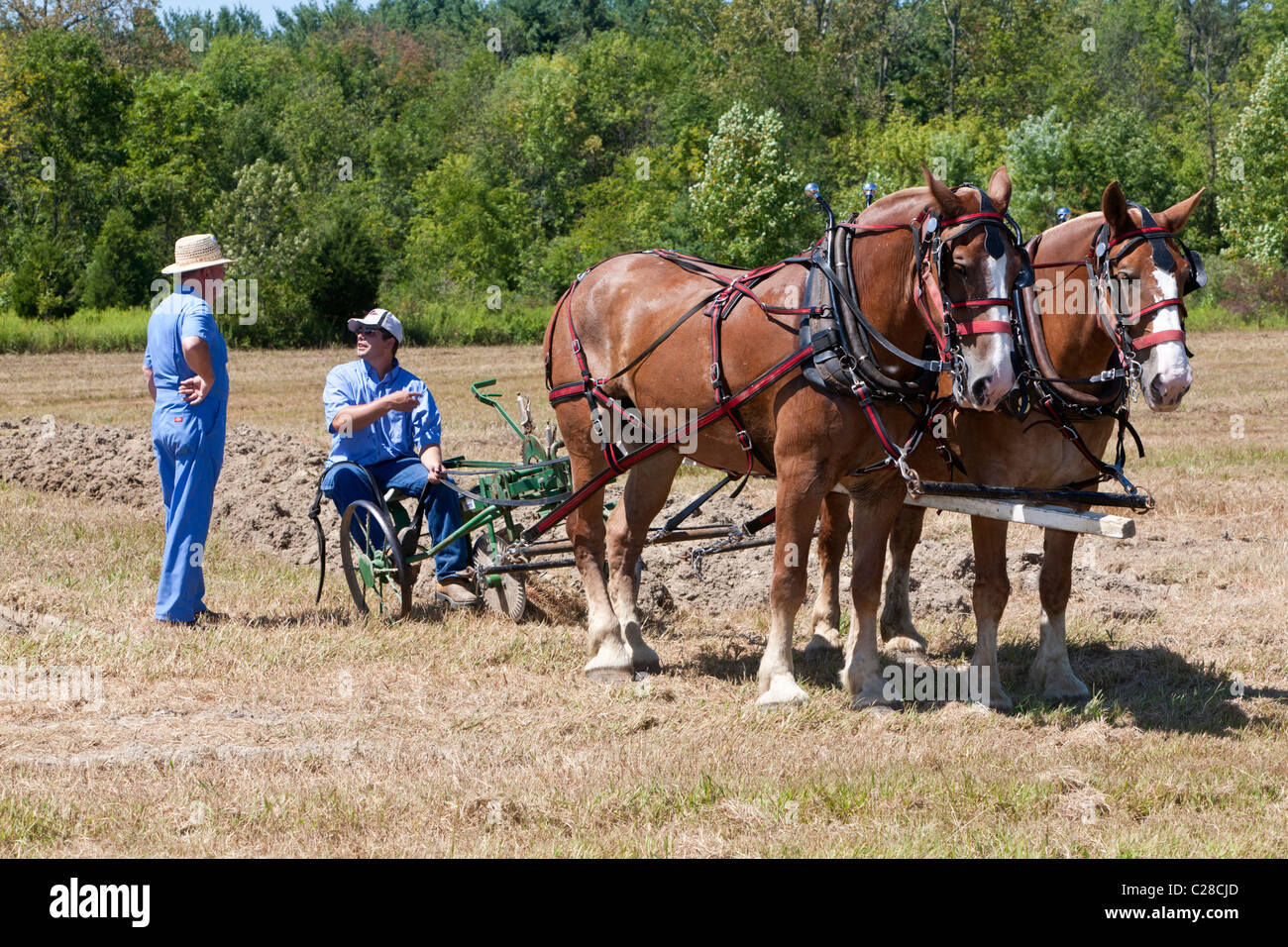Horses and plow hires stock photography and images Alamy