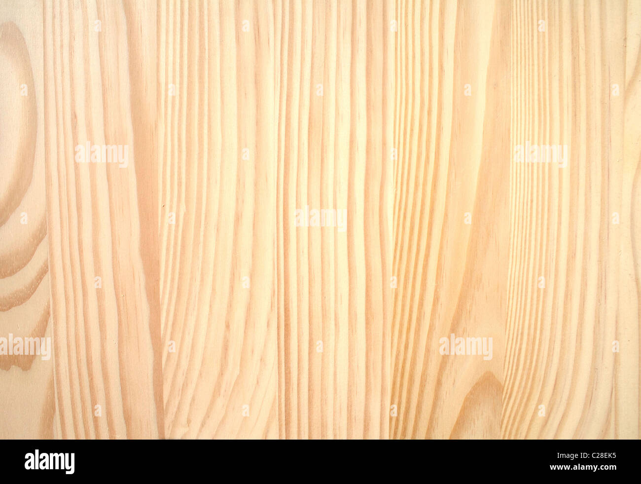 Southern yellow pine hires stock photography and images Alamy