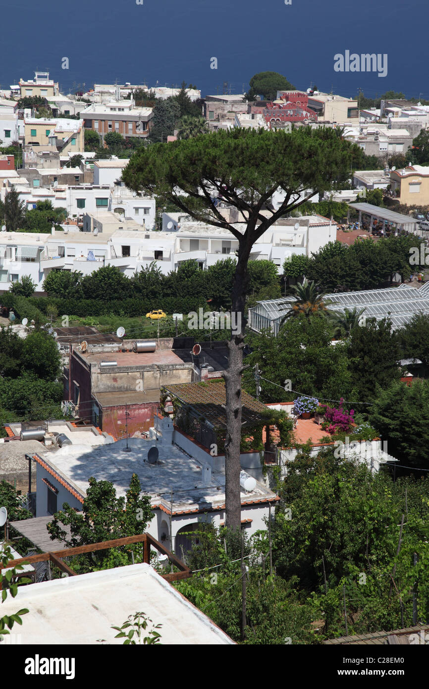 Capri island houses hires stock photography and images Alamy