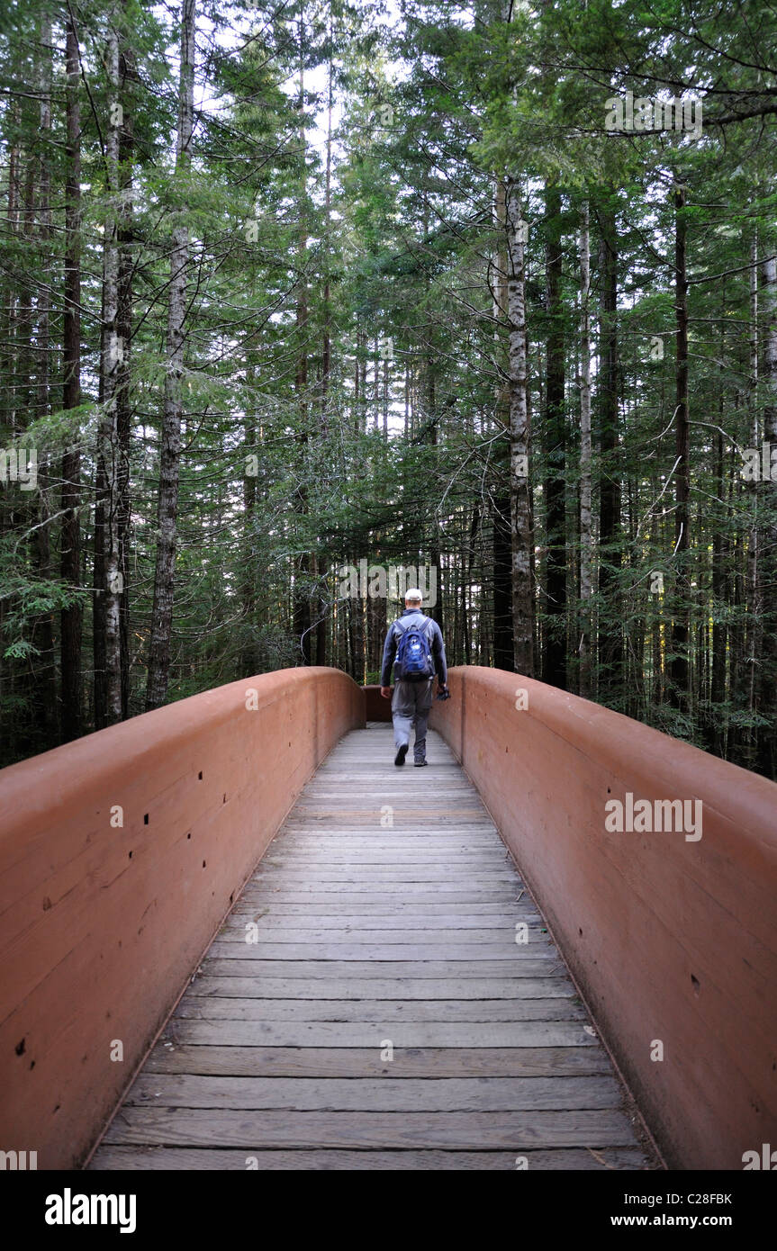 Lady hiking national park hi-res stock photography and images - Alamy