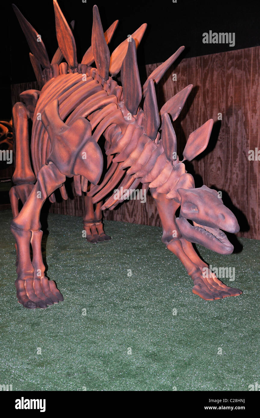 Dinosaur World museum, Glen Rose, Texas, USA Stegosaurus dinosaur