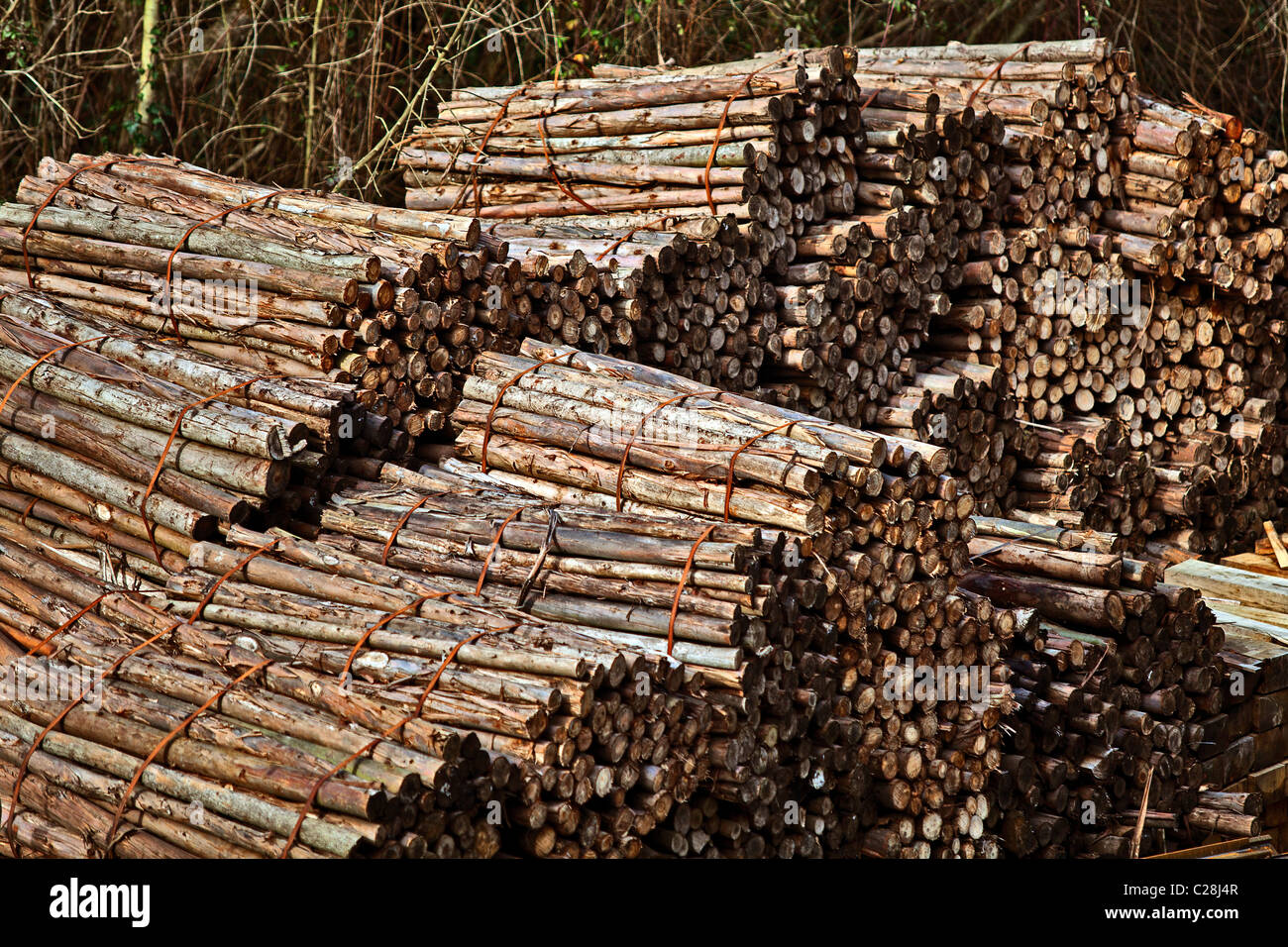 Lumberyard. Samuño Mine, Langreo, Asturias. Stock Photo