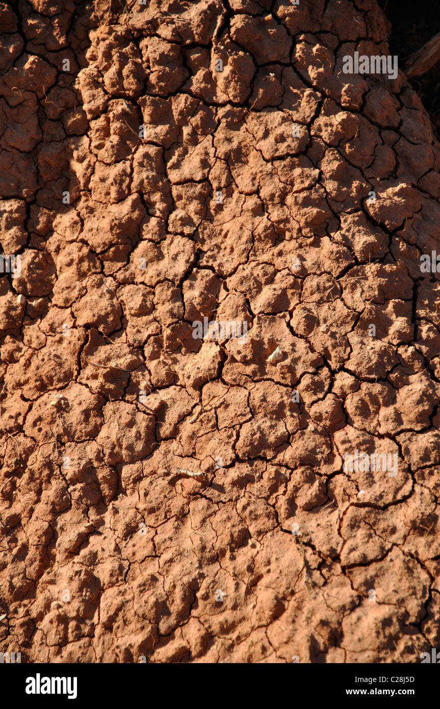 Dry cracked soil, Texas, USA Stock Photo