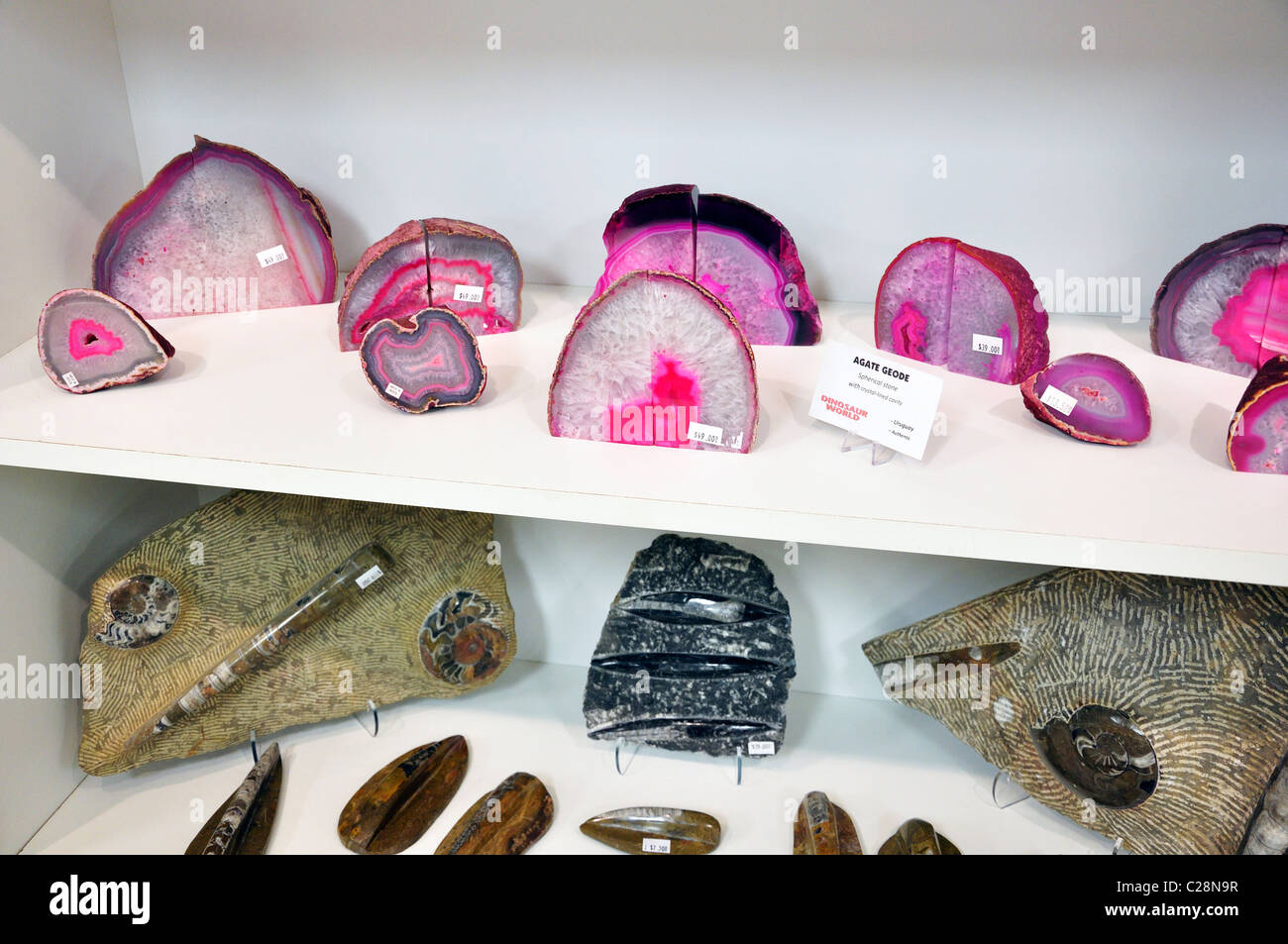 Dinosaur World, Glen Rose, Texas, USA fossils, stones, gems and rocks