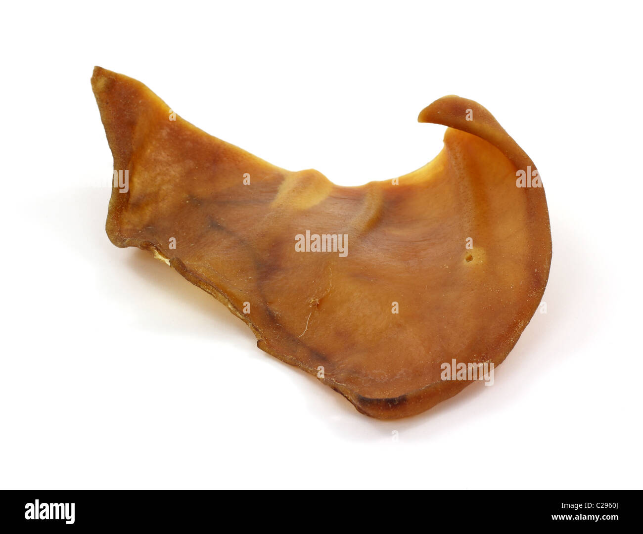 Pig ear dog chew toy Stock Photo Alamy