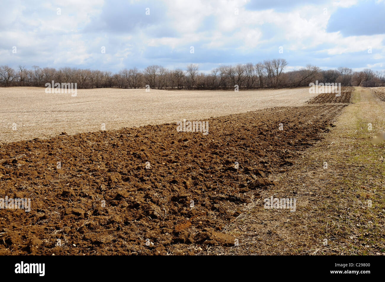 Partially tilled field in Illinois, USA. Stock Photo