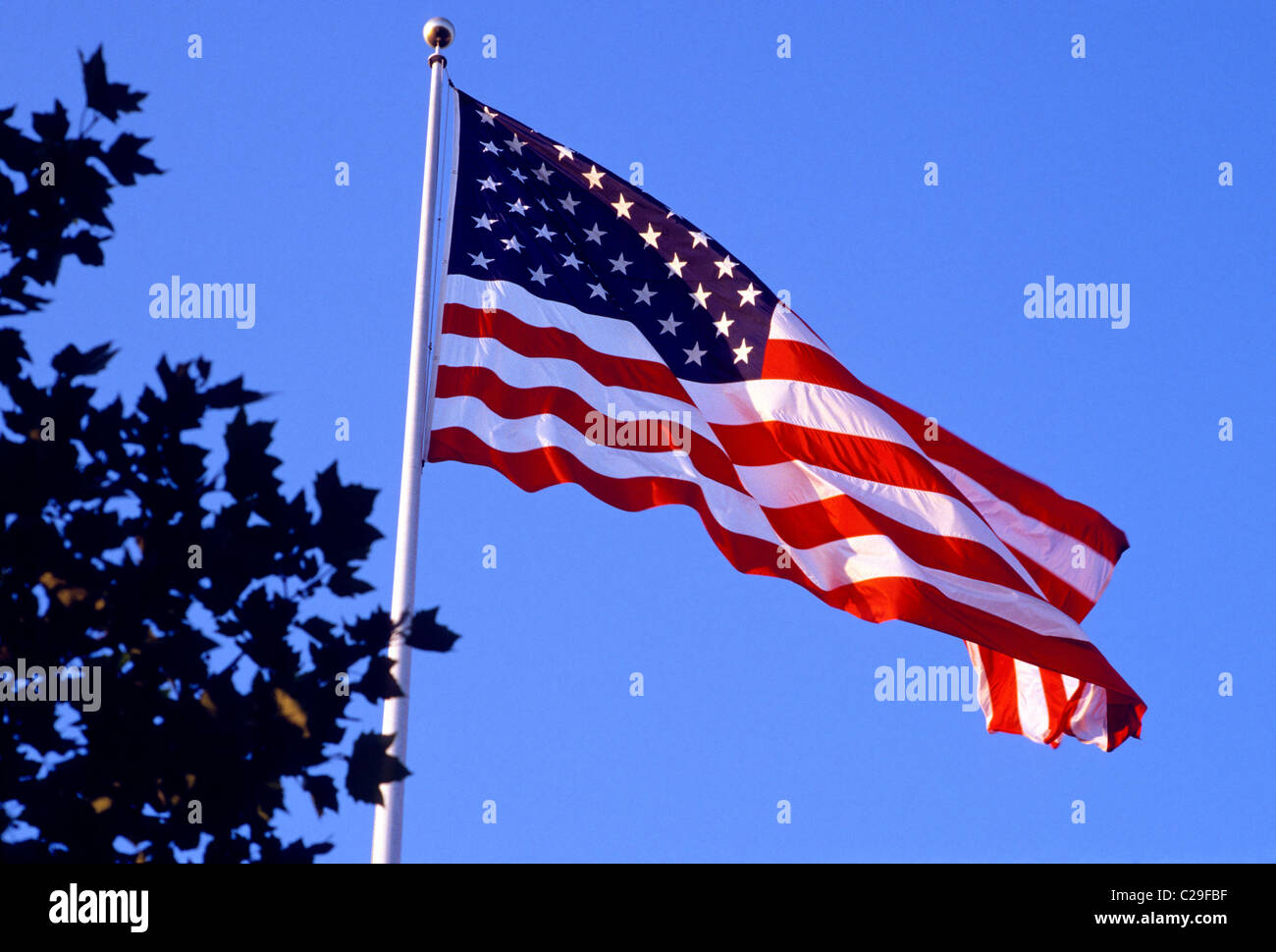 Old Glory