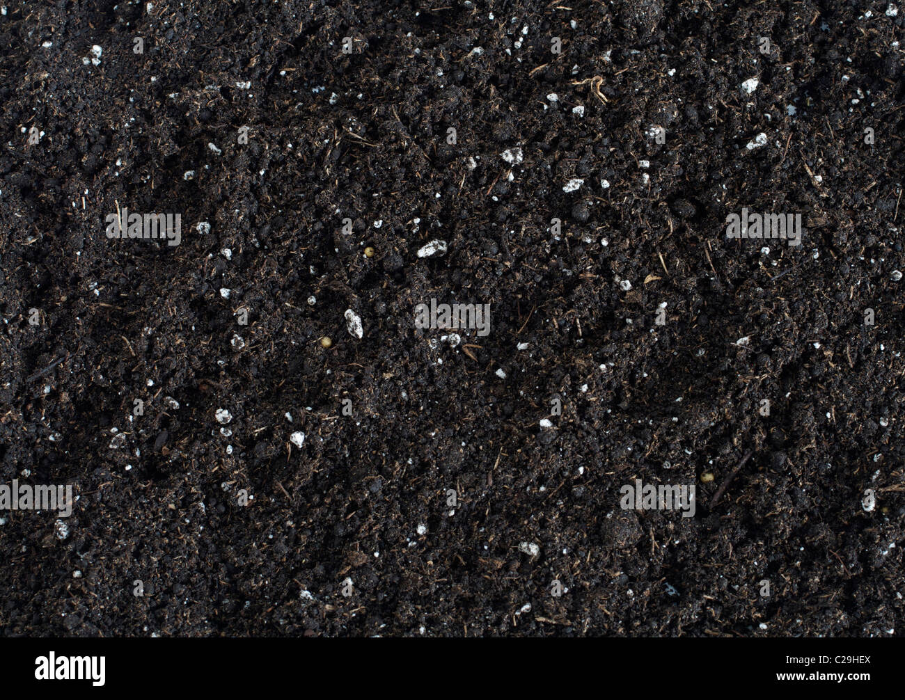 A detailed background of black potting soil Stock Photo Alamy