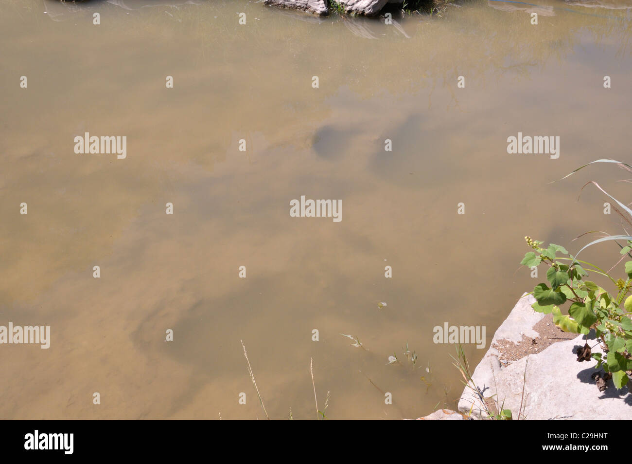Dinosaur Valley State Park, Glen Rose, Texas, USA fossilized dinosaur