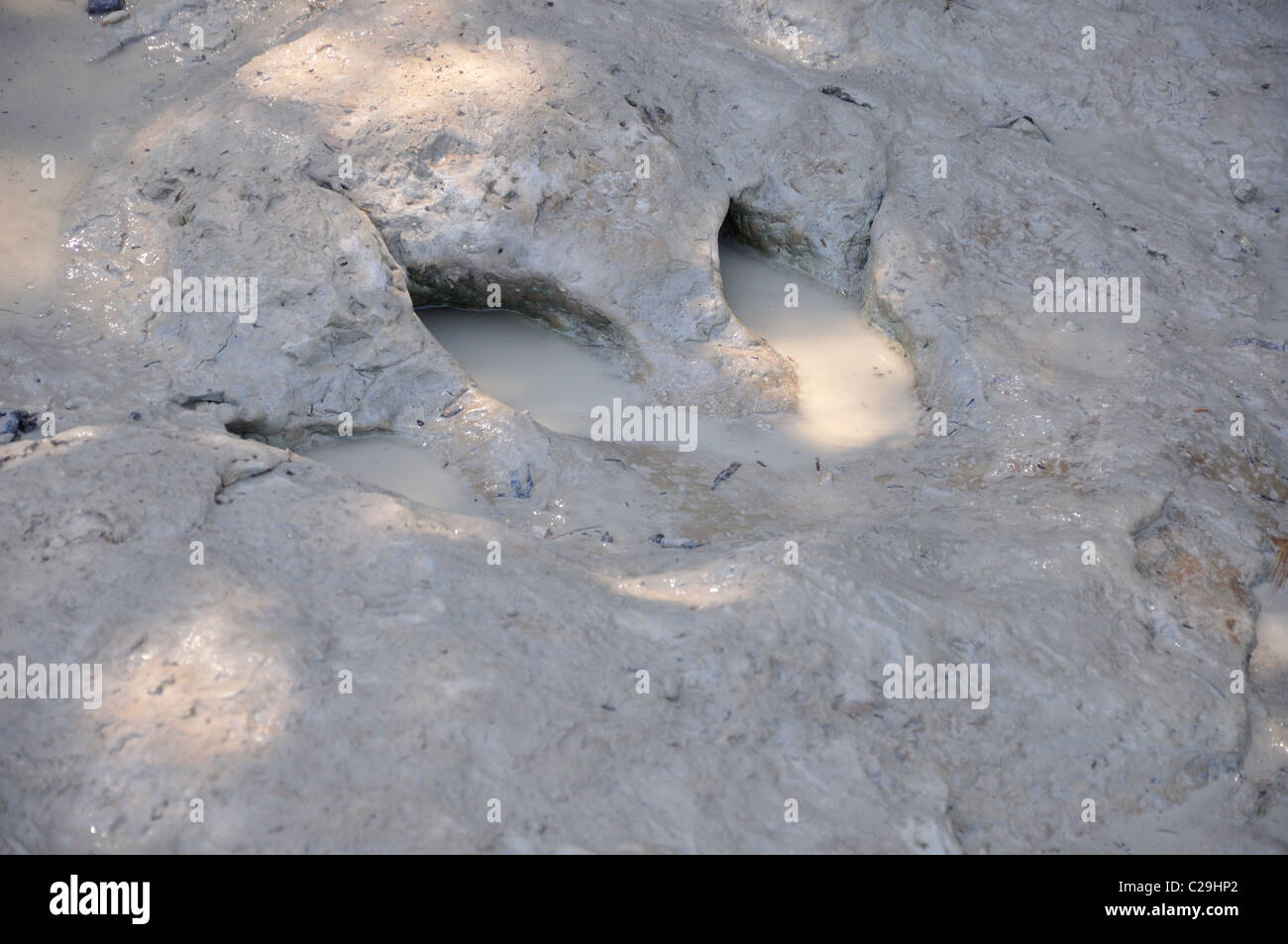 Dinosaur Valley State Park, Glen Rose, Texas, USA fossilized dinosaur footprints Stock Photo