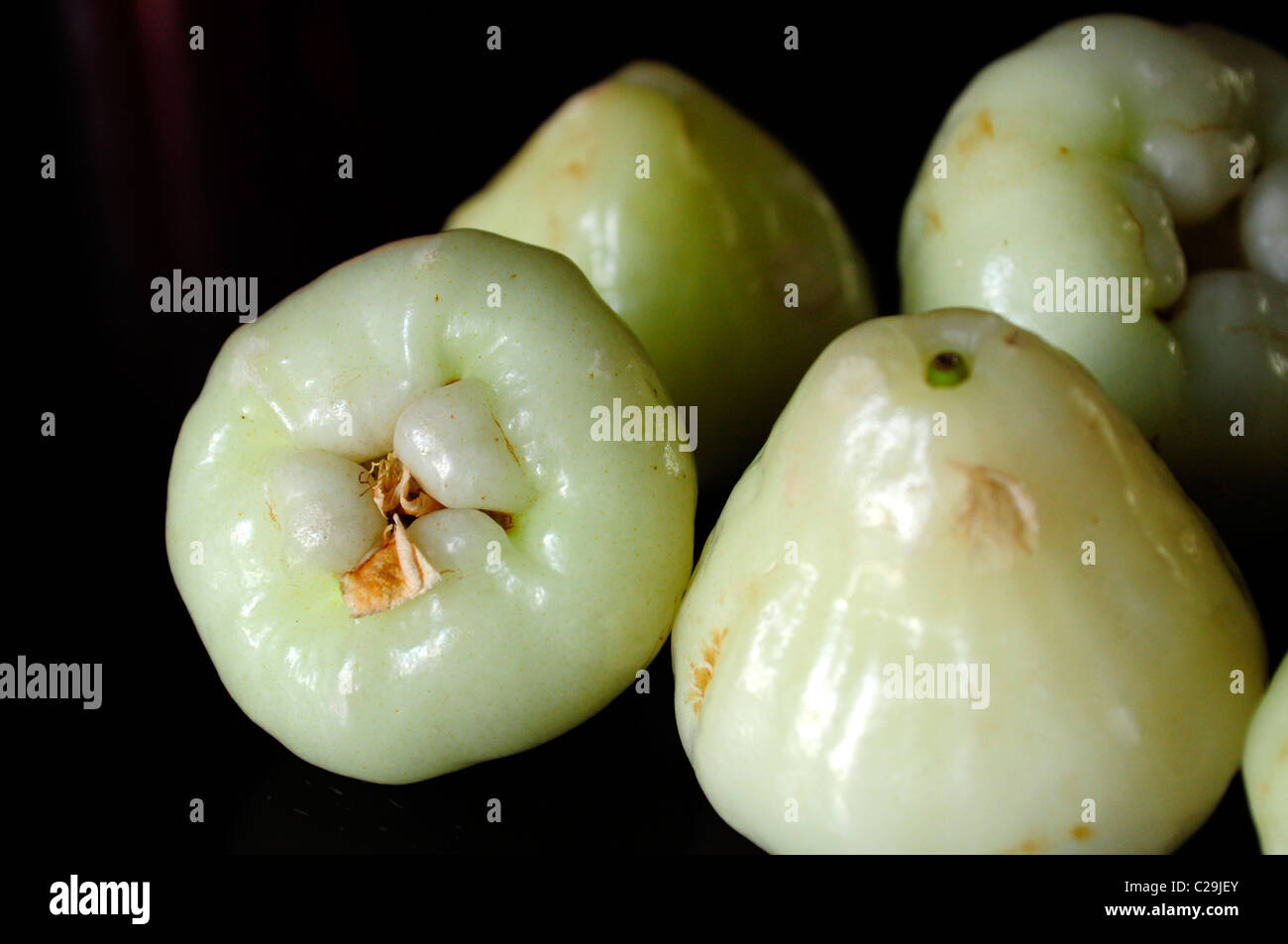 Water Apple, Wax Jambu, Botanical name: Syzygium javanicum. Stock Photo