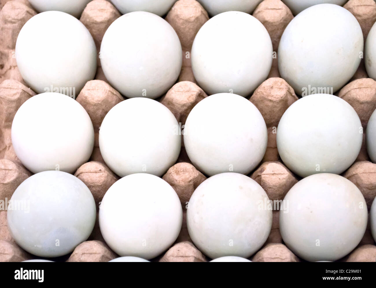 Dozen white fresh eggs in a cardboard Stock Photo