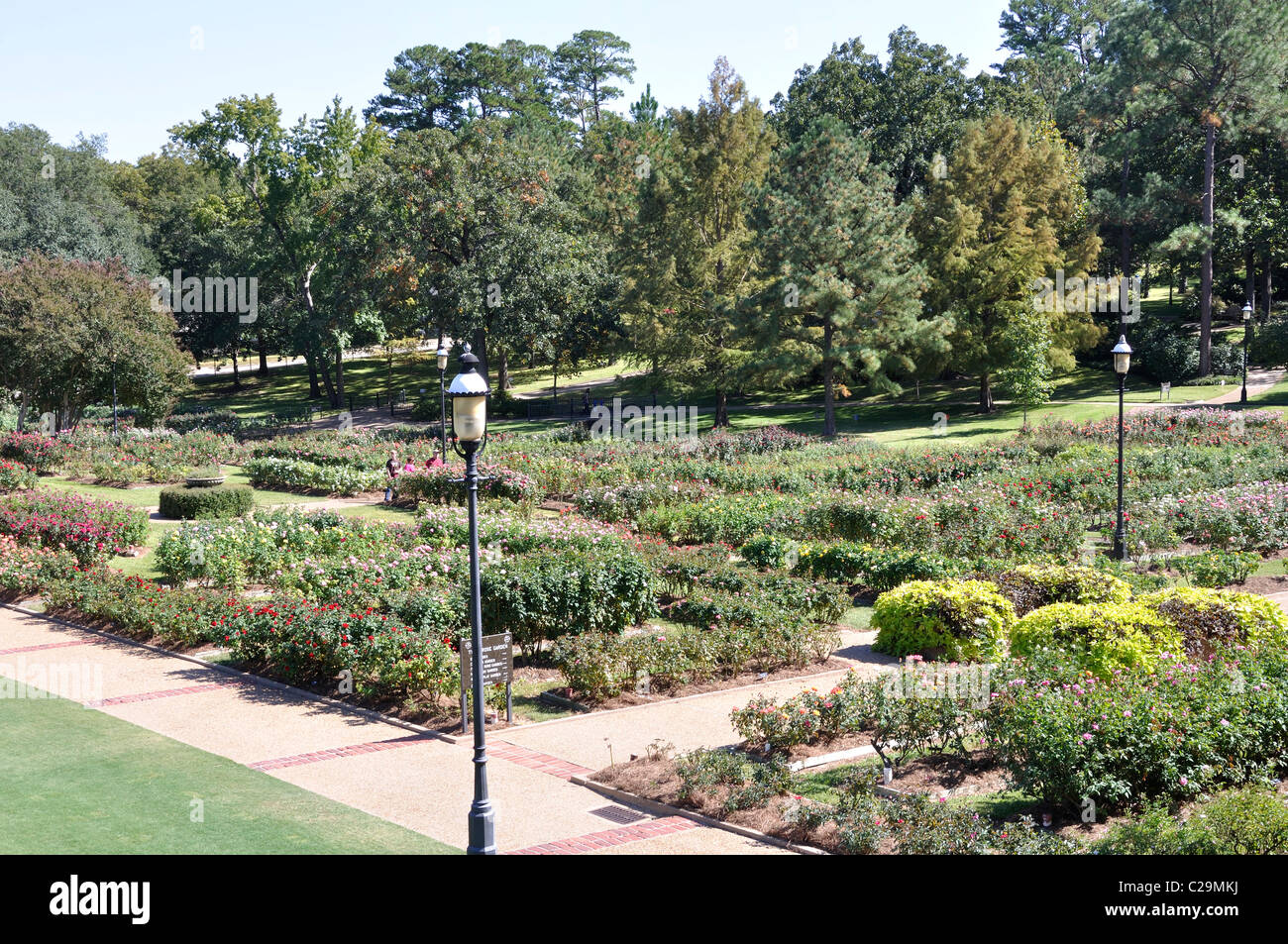 Rose Garden, Tyler, Texas largest rose garden in the US Stock Photo