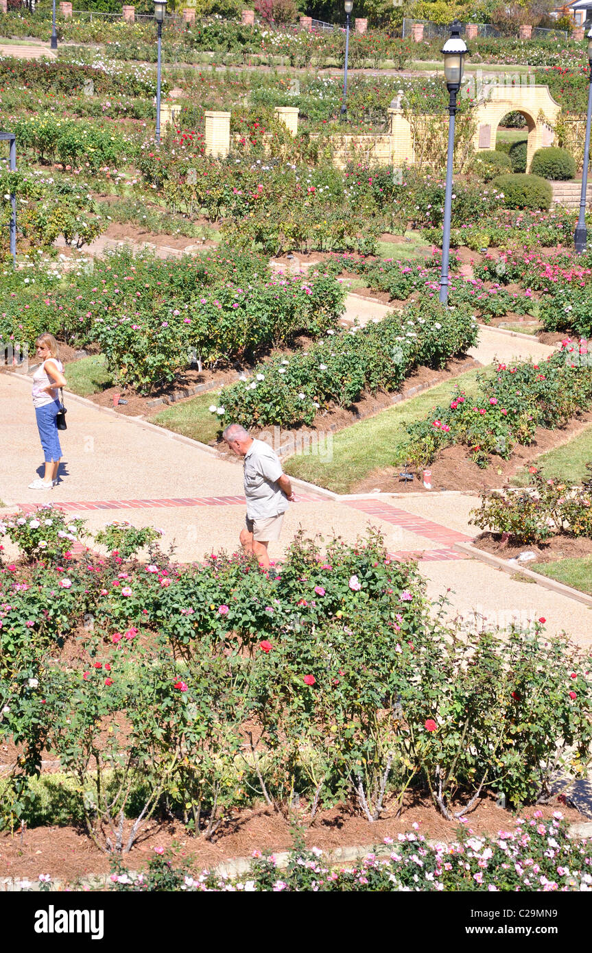Rose Garden, Tyler, Texas largest rose garden in the US Stock Photo