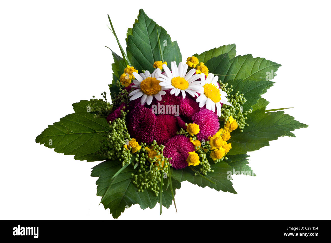 Bunch of Summer Wildflowers isolated on white background Stock Photo ...