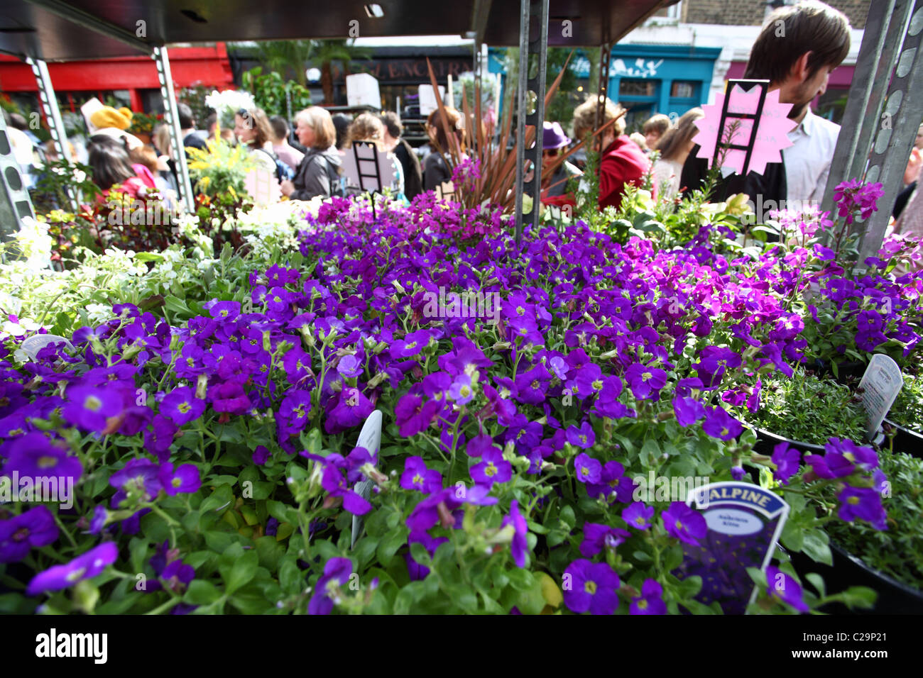 columbia road flower market london UK Stock Photo Alamy