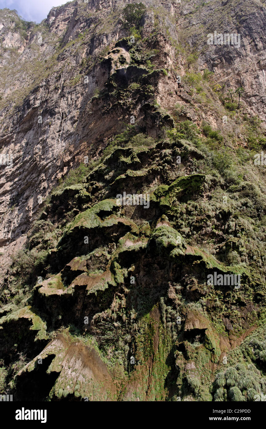 Waterfall known as the Christmas Tree in one of the walls of the Sumidero Canyon, during winter it is almost dry. Stock Photo