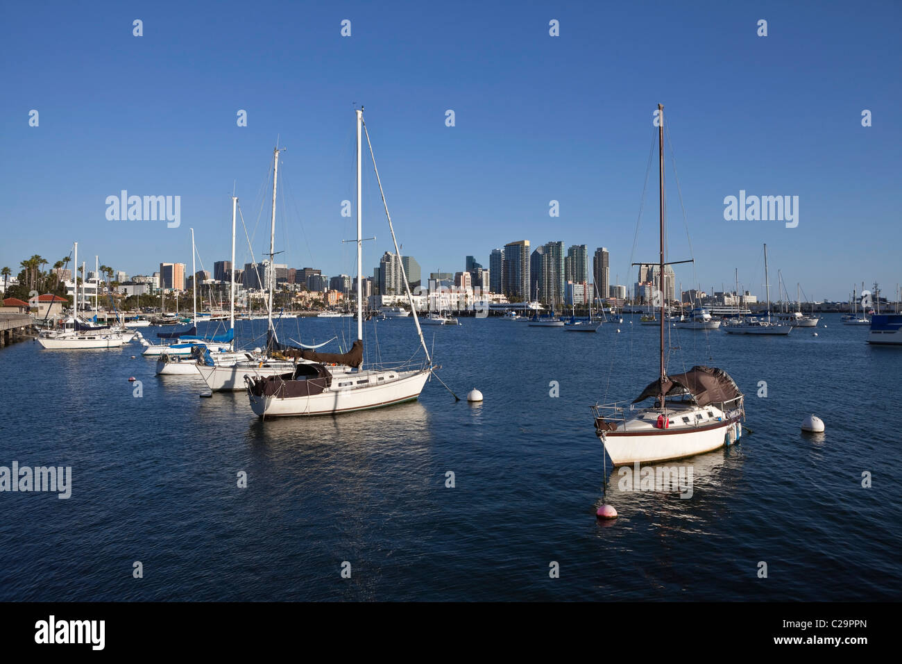 Downtown towers and peaceful marina in scenic San Diego, California. Stock Photo