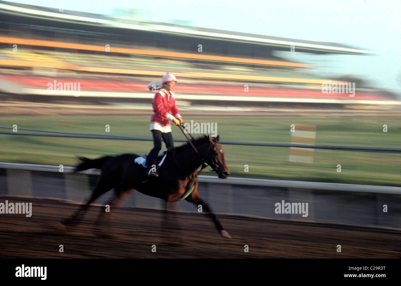 Woman jockey stands up in the stirrups while working out thoroughbred