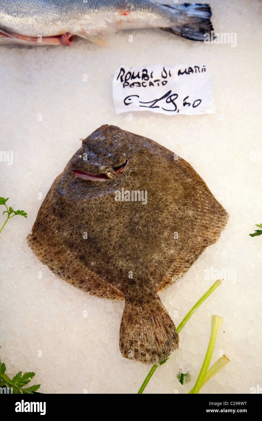 seafood in the Venice Fish market, Venice, Italy Stock Photo Alamy