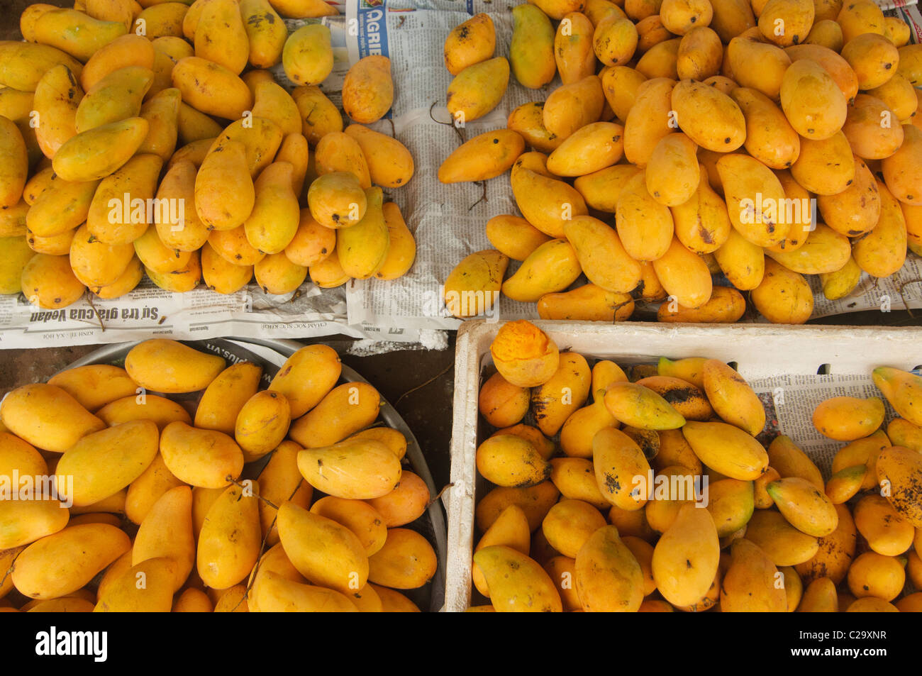 cuñas mango