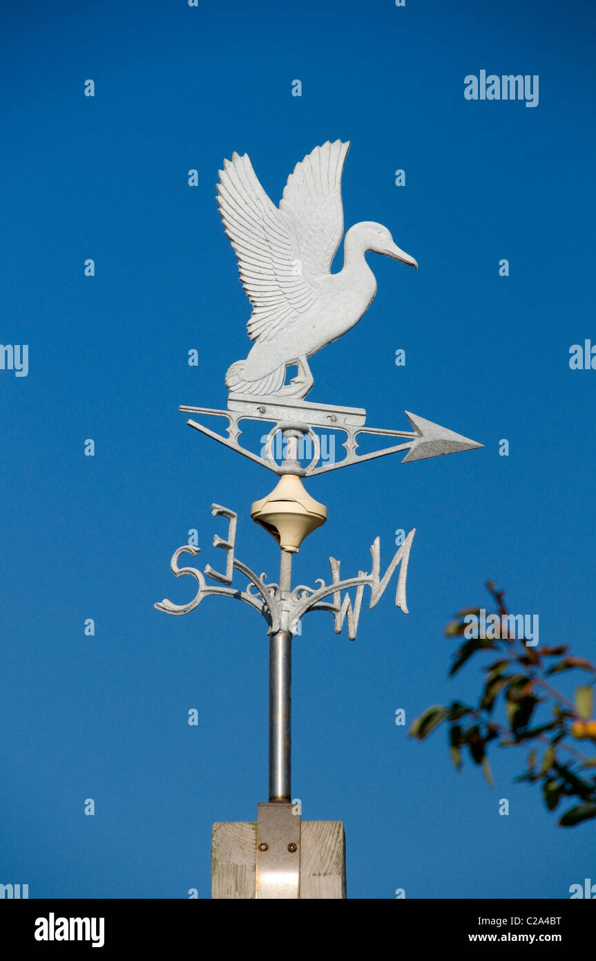 Weather vane in the village of Duck, North Carolina Stock Photo Alamy