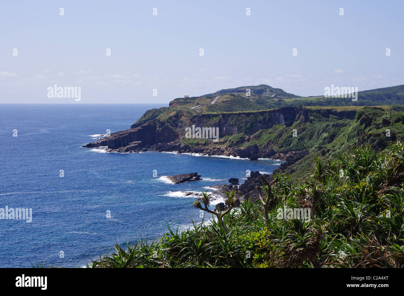 Eastern Coast of Yonaguni as seen from Cape Agarizaki with Pandanus Plants in Foreground, Yaeyama Islands, Okinawa, Japan Stock Photo