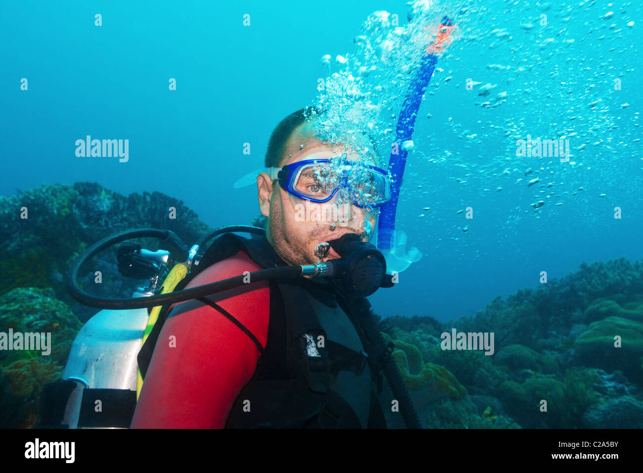 Scuba diver underwater making bubbles Stock Photo Alamy
