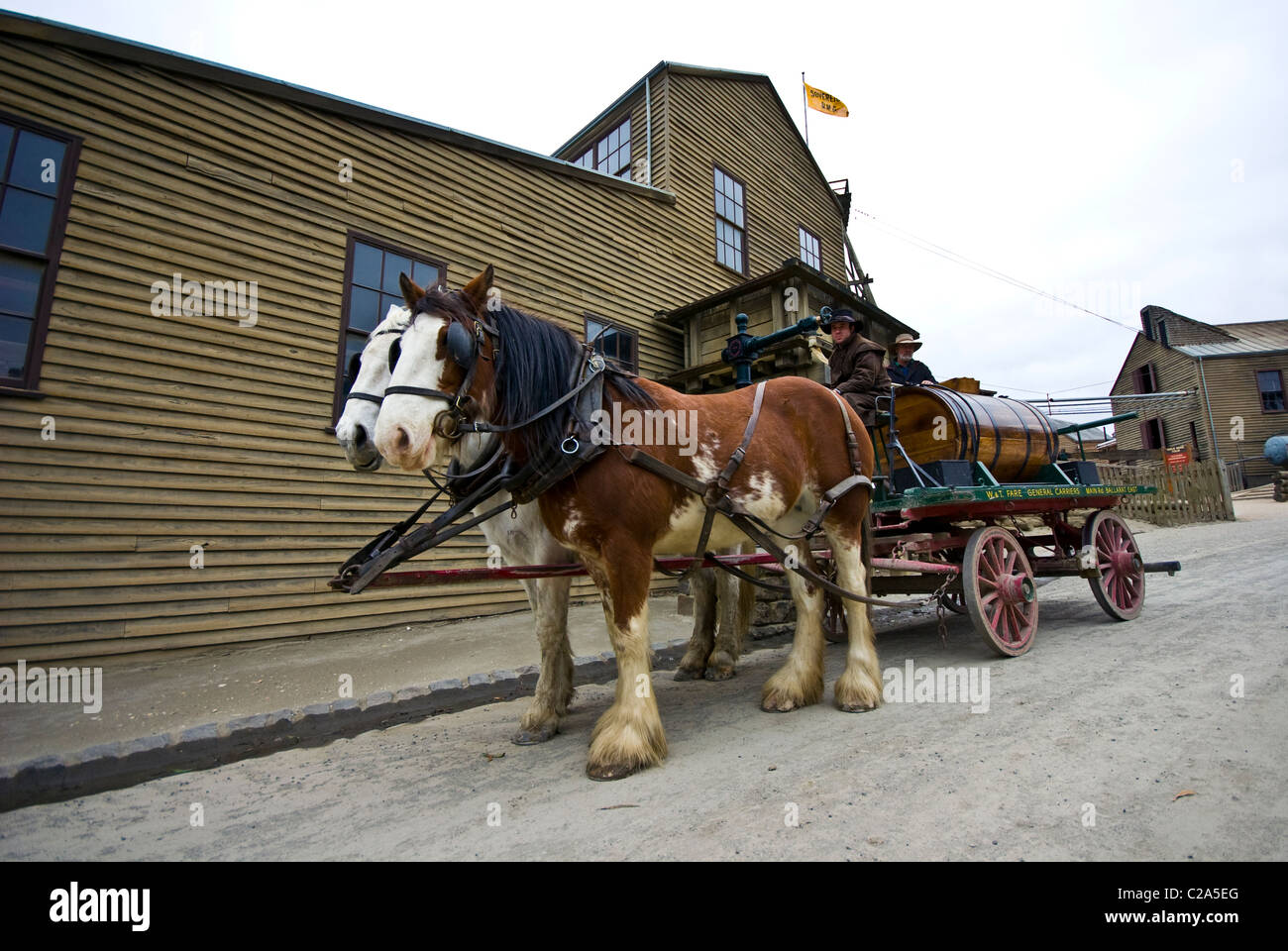 A Clydesdale horses harnessed to a water wagon in a gold mining town. A Clydesdale horse harnessed to a water wagon in a gold Stock Photo