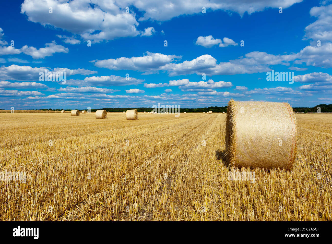 straw bales in a field with blue and white sky Stock Photo - Alamy