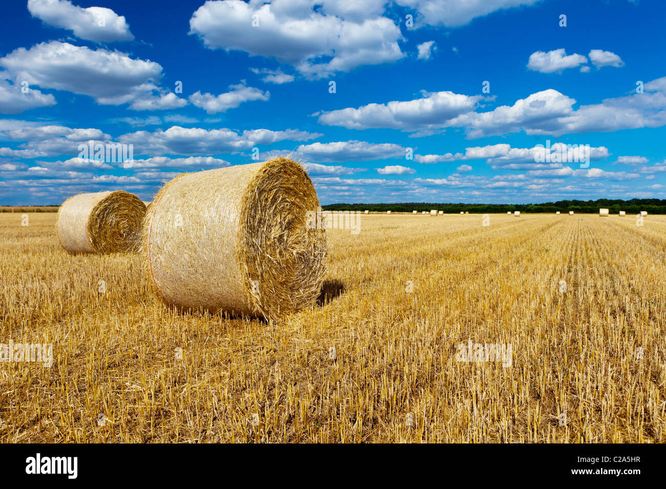 straw bales in a field with blue and white sky Stock Photo - Alamy