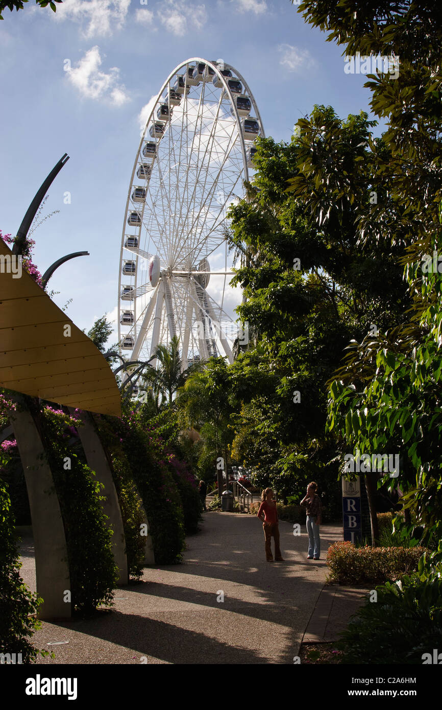 The Wheel of Brisbane Southbank Parklands, Brisbane Stock Photo Alamy