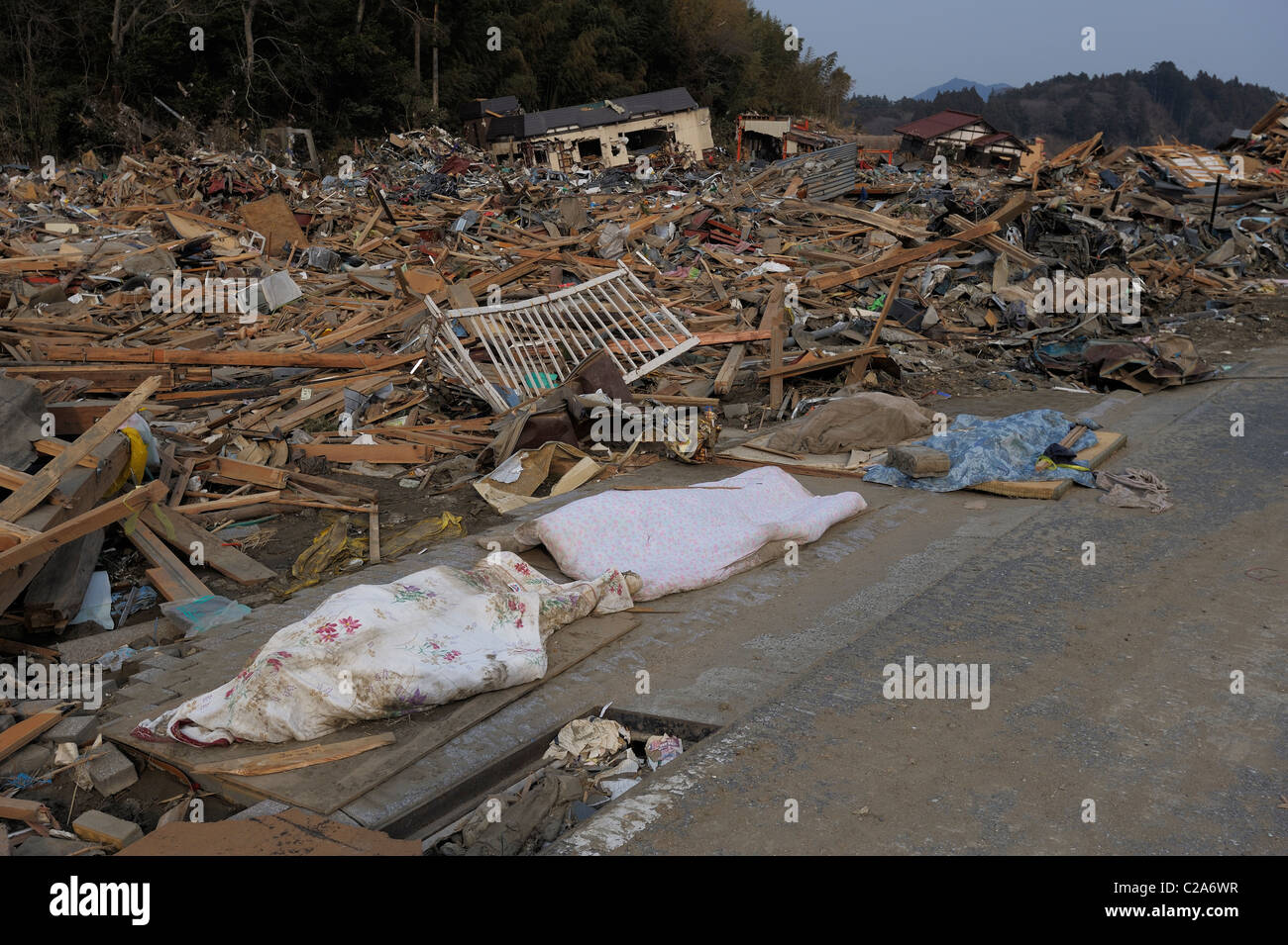Japan tsunami recovery