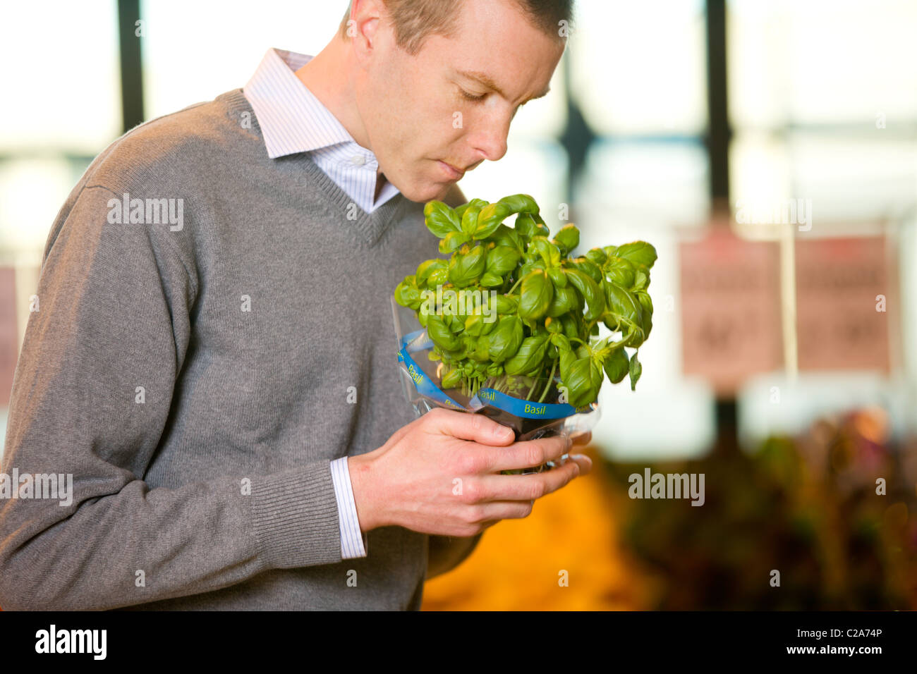 A man buying fresh basil in the grocery store Stock Photo Alamy