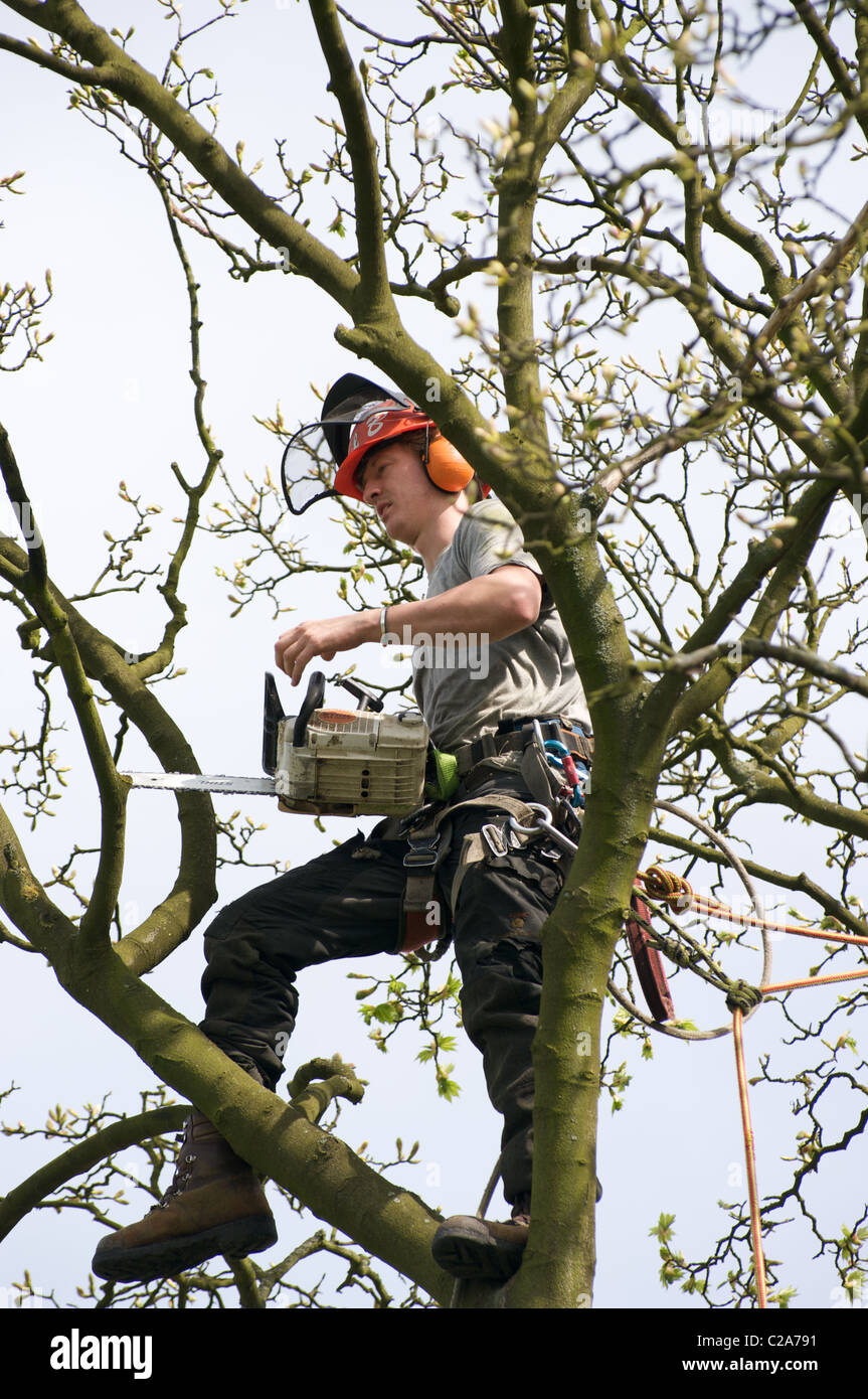 Chainsaw tree ladder man hires stock photography and images Alamy