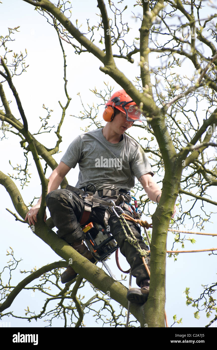Harness worker hi-res stock photography and images - Alamy