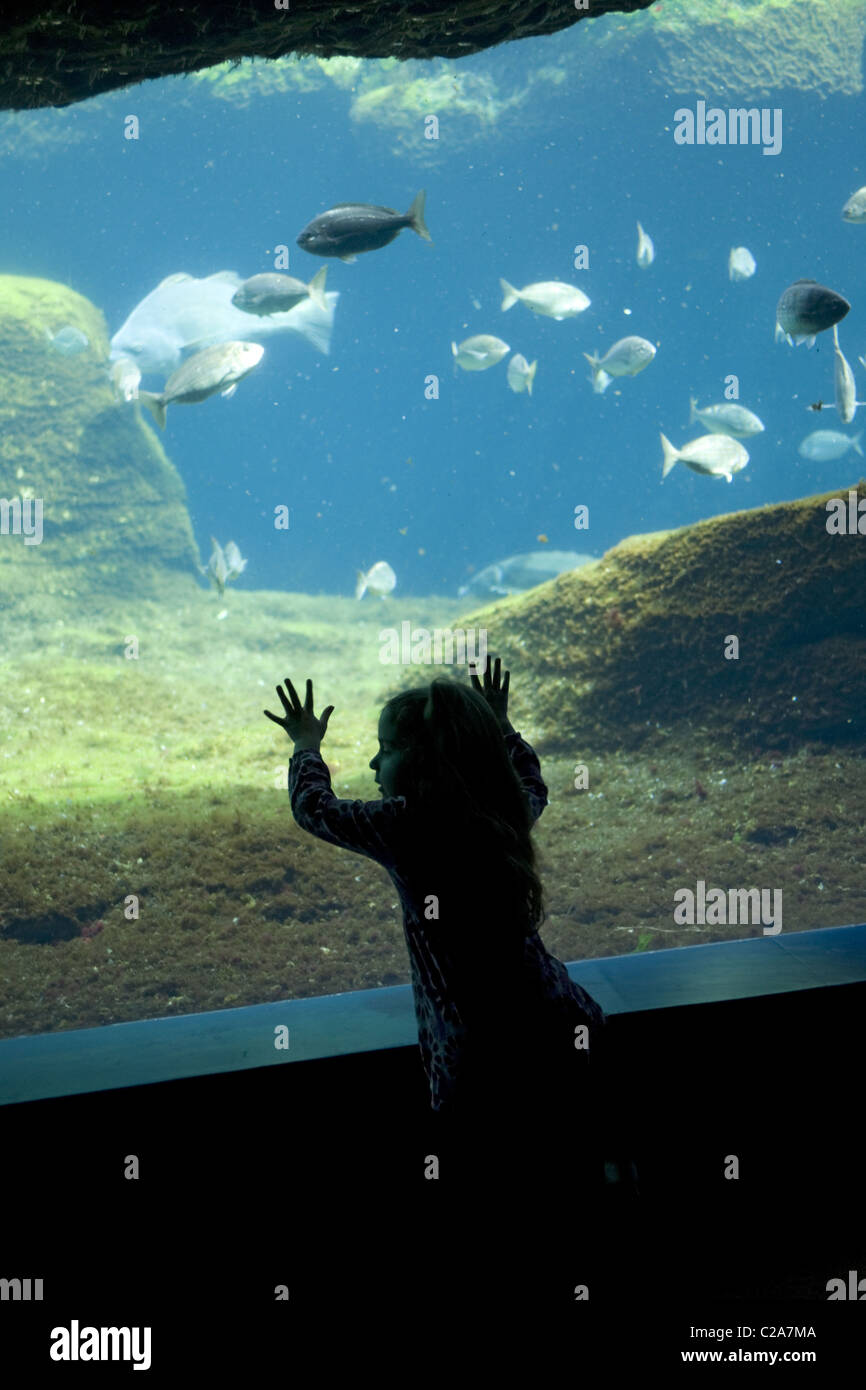 How Much Is The Brooklyn Aquarium at dinardavieso blog