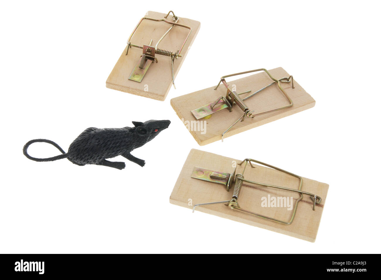 Toy Rat and Mousetraps Stock Photo