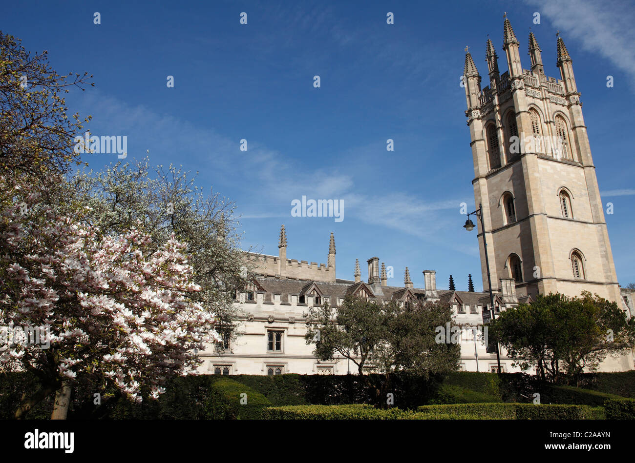 Magdalen College from University of Oxford Botanic Garden in spring, England, UK Stock Photo