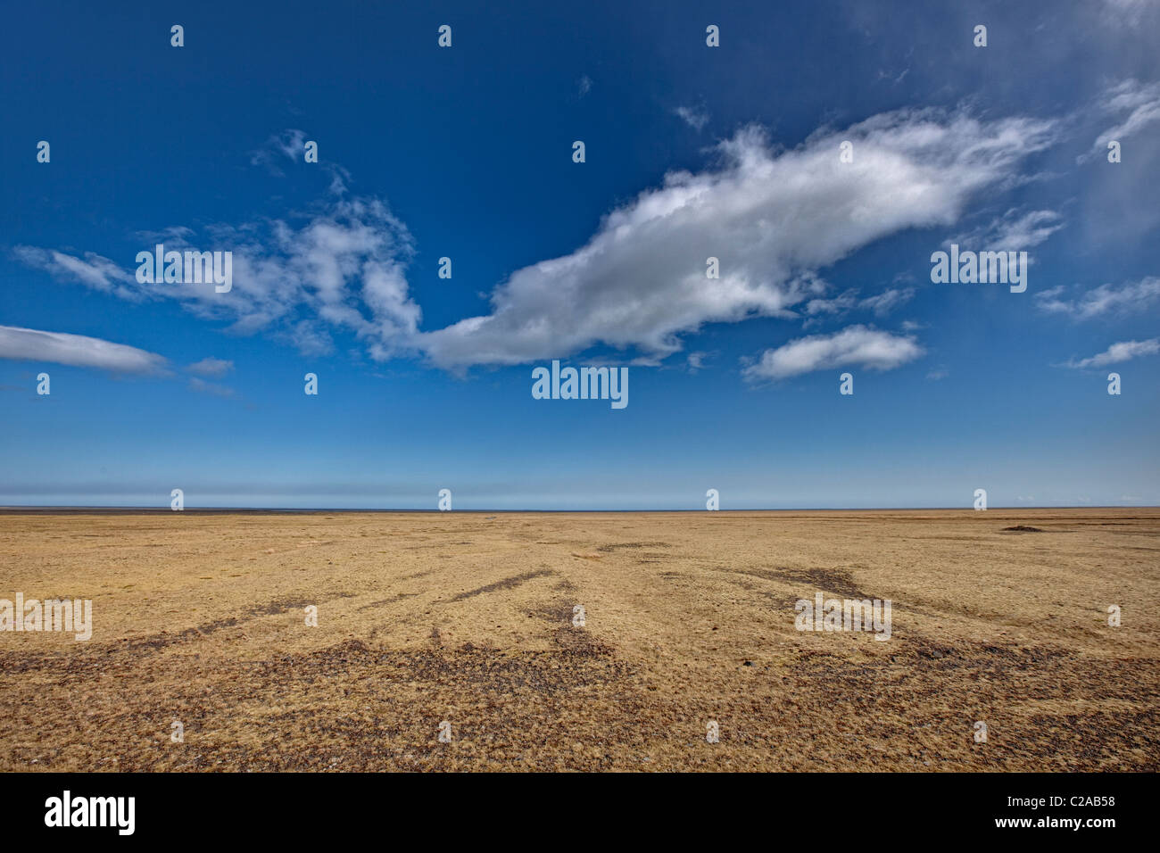 Revegetation of protruding erosion, Skeidararsandur outwash plain, Iceland Stock Photo