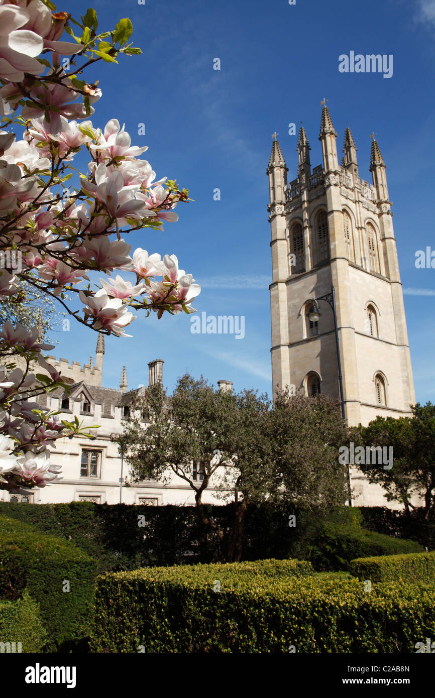 Magdalen College from University of Oxford Botanic Garden, England, UK Stock Photo