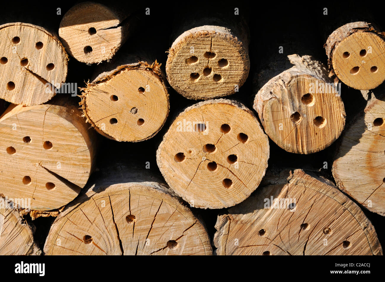 Nesting aid for insects made of tree trunks Stock Photo