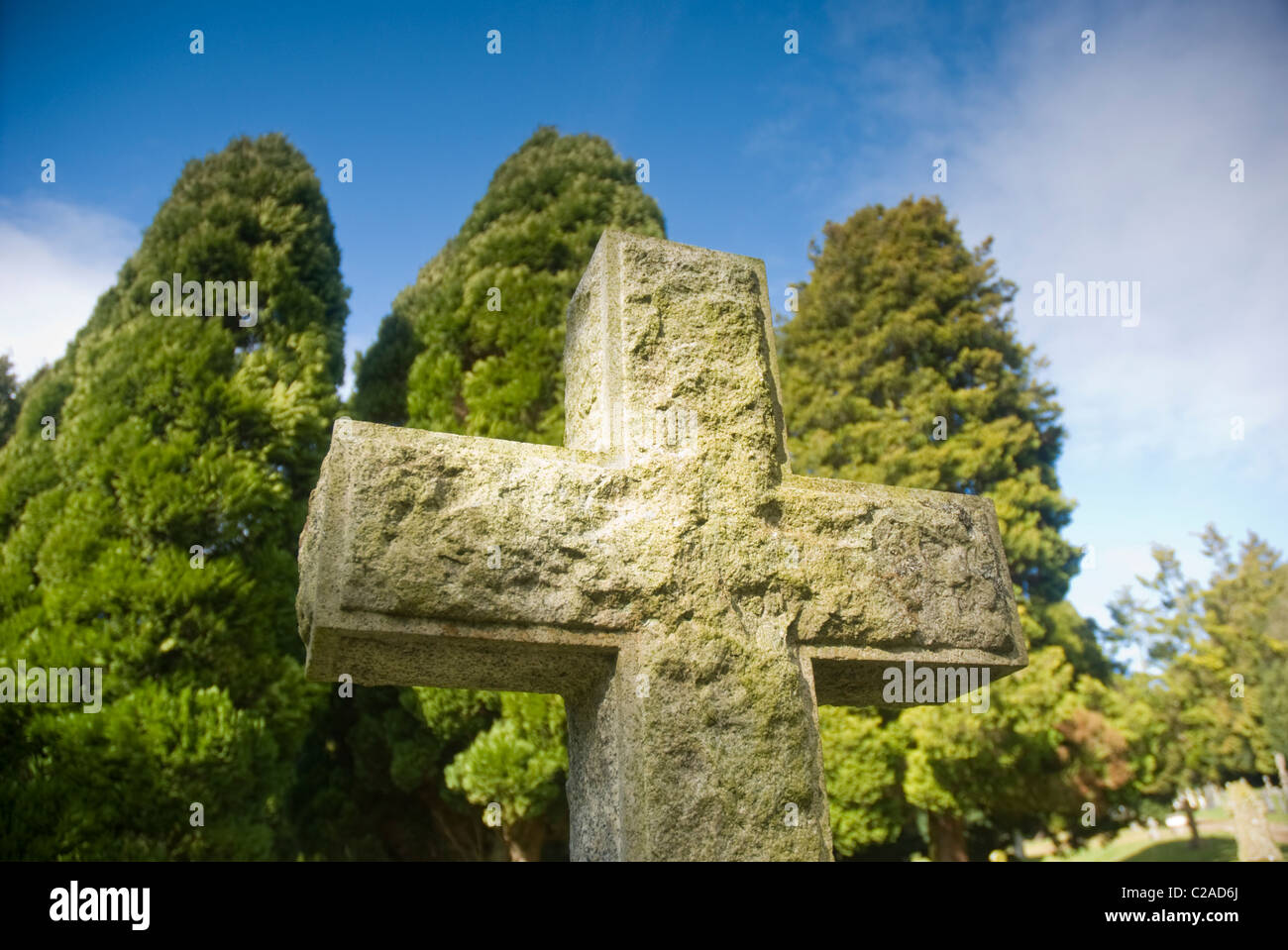 Gravestone and yew trees in the sun in Penrith, Cumbria Stock Photo