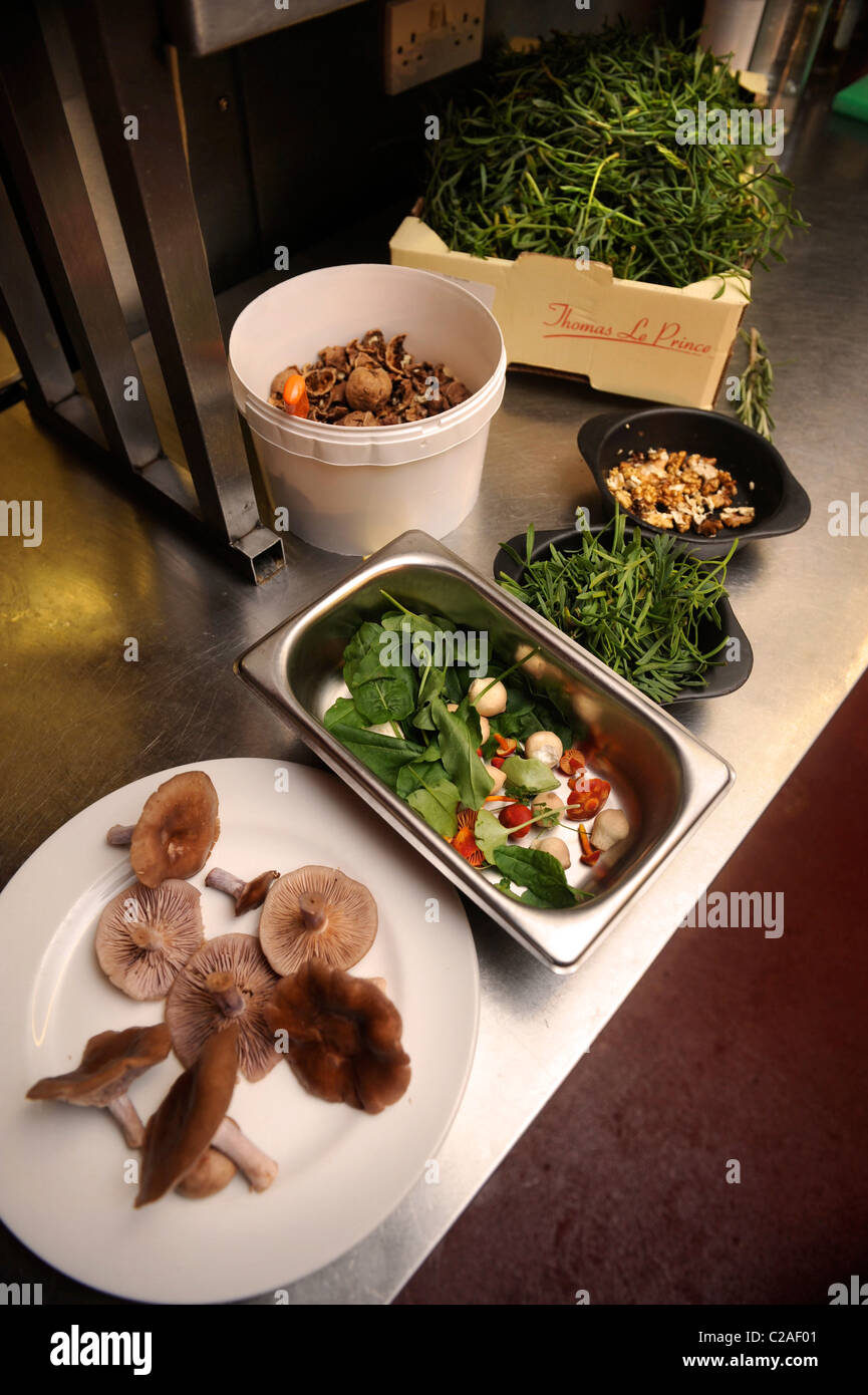 Locally foraged ingredients including Rock Samphire (rear and right) and Wood Blewit mushrooms (front) at The Foxhunter restaura Stock Photo