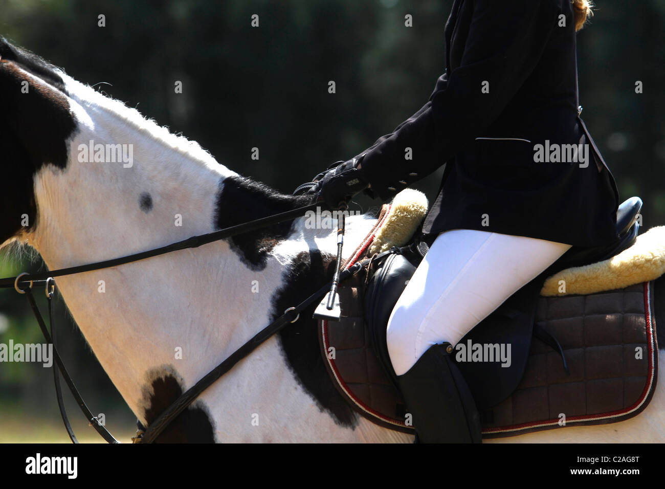 Horse whip hires stock photography and images Alamy