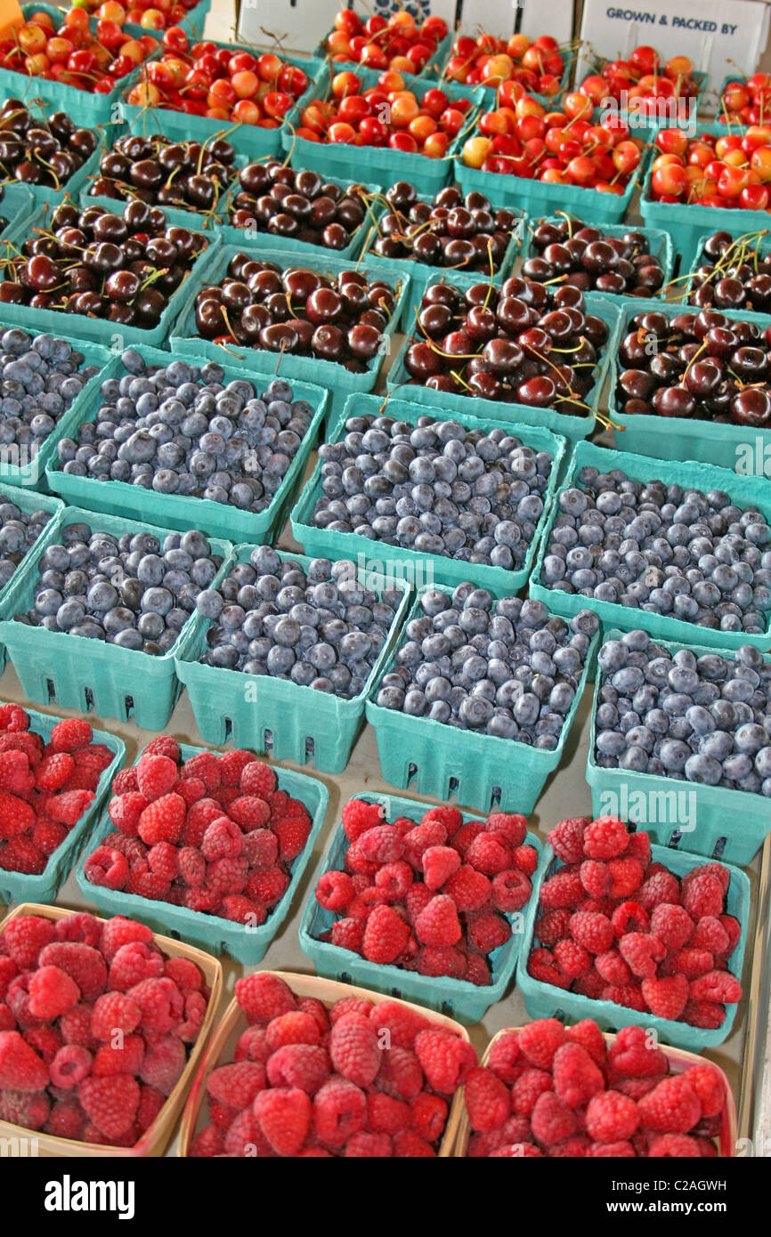 Cherries blueberries strawberries at farmers market in South Haven Michigan Stock Photo