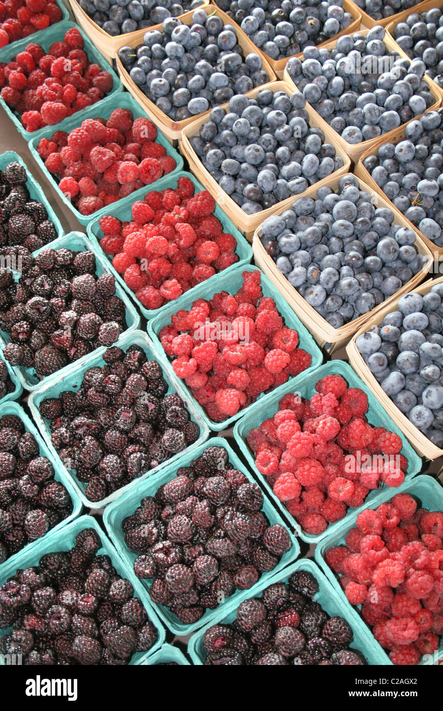 Raspberries blueberries at farmers market in South Haven Michigan Stock Photo