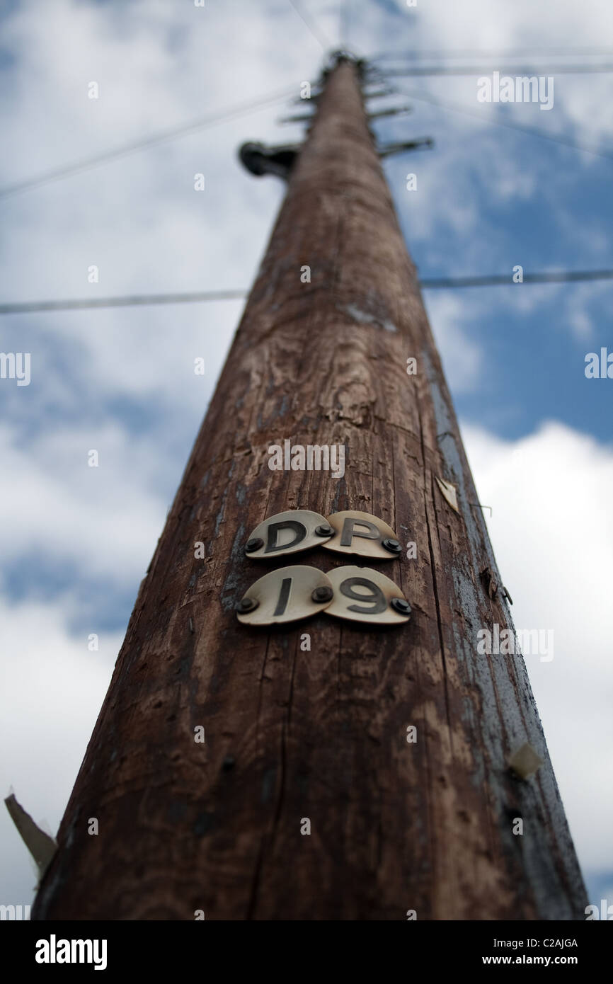 Looking up a wooden telegraph pole number DP19 Stock Photo