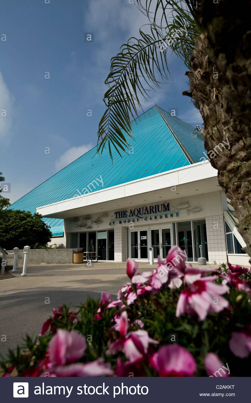 Moody Gardens Aquarium Housed In A Glass Pyramid In Galveston